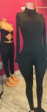 Pre Order: About 7 work days shipping Solid Color Long Sleeve Slim Jumpsuit YUEM-600621