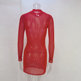 Sexy See Through Long Sleeve Dress Swimsuit Cover-up GPBY-14451
