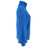 Solid Color Knits High Collar Sweater GDAM-1020