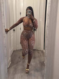 Pre Order: About 7 work days shipping Leopard Print Sexy Mesh Seven-point Pants Suit YUEM-700720