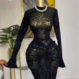 Lace Long Sleeve Slim Maxi Dress GCNE-7948