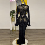 Lace Long Sleeve Slim Maxi Dress GCNE-7948