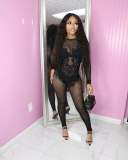 Pre Order: About 7 work days shipping Sexy Long Sleeve Mesh Jumpsuit YUEM-2025005