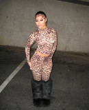 Leopard Print Long Sleeve Pants Two Piece Set YWXS-XS-XSL45002
