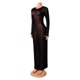 See Through Mesh Long Sleeve Maxi Dress GOSD-6171