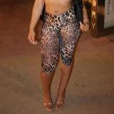 Fashion Animal Print t Slim Cropped pants GFCF-1327