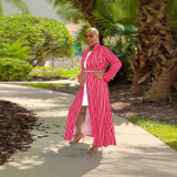 Stripe Print Lapel Long Sleeve Coat WUM-913