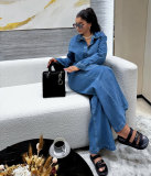 Plus Size Long Sleeve Lapel Denim Two Piece Pants Set GADE-6561