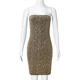 Sexy Sequin Tube Tops Dress GFRT-041738DBG