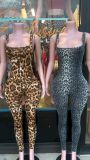 Pre Order: About 7 work days shipping Leopard Print Backless Jumpsuit YUEM-2025600