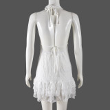 Lace Backless Sexy Cake MIni Dress GNZD-51278DHD
