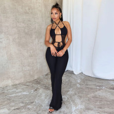 Sleeveless Tie Up Backless Flare Jumpsuit GNZD-51135JHD