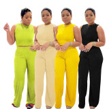 Solid Color Sleeveless Knits Two Piece Pants Set SFY-685