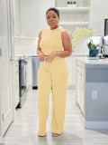 Solid Color Sleeveless Knits Two Piece Pants Set SFY-685