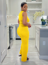 Solid Color Sleeveless Knits Two Piece Pants Set SFY-685
