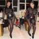 Long Sleeve Mesh Shirt Two Piece Pants Set YNSF-2678