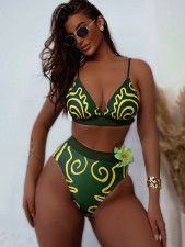 Sexy Print Bikinis Swimsuit 2 Piece Set CSYZ-G151K