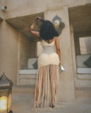 Sexy Mesh Pleated Tassel Sling Maxi Dress GLYK-LX0110