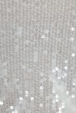 Sequin Sleeveless Bodysuit Split Skirt 2 Piece Set GLYK-LX0128