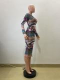 Long Sleeve Print O Neck Midi Dress QOUY-6057