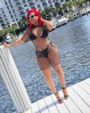 Sexy See-through Mesh Beaded Beach Club Dress (No Underwear)NY-9001