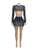 Long Sleeve Print Crop Top Skirt 2 Piece Set GFCF-1341