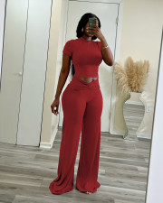 Solid Color Short Sleeve Tops Wide Leg Pants Suit QXLB-10129