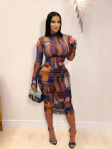 Long Sleeve Print Mesh Pleated Maxi Dress YD-062