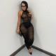 Mesh See Through Bodysuit Pleated Skirt Two Piece Set MXBF-D25ST080