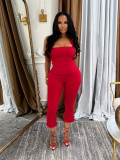 Solid Color Halterneck Sexy Two Piece Pants Set SFY-2801