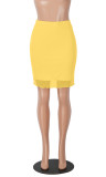 Solid Color Double Layer Mesh Half Body Skirt MZ-2900