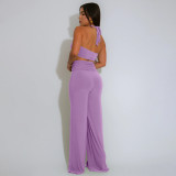 Solid Color Sexy Halterneck Two Piece Pants Set YF-20181