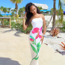 Sexy Print Tube Top Slim Maxi Dress MXBF-J25DS031