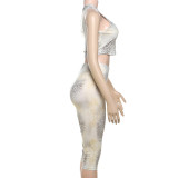 Leopard Print Single Shoulder Two Piece Shorts Set DLSF-K25S67858