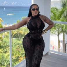 Hollow Out See-through Backless Long Dress MXBF-J25DS024