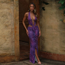 Sexy Halterneck Lace V Neck Split Maxi Dress DLSF-K25D62941