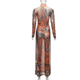 Print Mesh Long Sleeve Split Maxi Dress DLSF-K24L62342