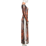 Print Mesh Long Sleeve Split Maxi Dress DLSF-K24L62342