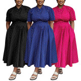 Plus Size Polka Dot Print Big Swing Maxi Dress NNWF-8079