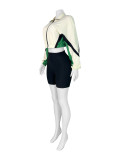 Contrast Color Zipper Long Sleeve Shorts Sport Suit CH-25022