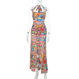Colorful Print Halterneck Split Maxi Dress FL-XY25038PFO