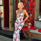 Sexy Square Neck Print Long Dress FL-JY25057MHO