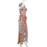 Colorful Print Halterneck Split Maxi Dress FL-XY25038PFO