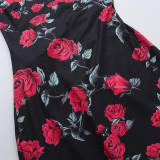 Sexy Square Neck Print Long Dress FL-JY25057MHO