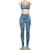 Pre Order: About 7 work days shipping Leopard Print Sling Two Piece Pants Set YUEM-300323