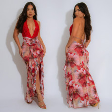 Sex Deep V Neck Print Backless Maxi Dress BY-7262