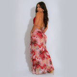 Sex Deep V Neck Print Backless Maxi Dress BY-7262