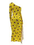 Sexy Polka Dot Print Single Sleeve Dress SMD-25002