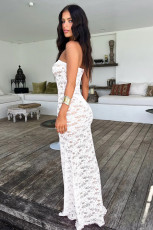 Lace See Through Slim Maxi Dress MZ-2901