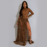 Leopard Print Long Sleeve Split Maxi Dress BY-7308